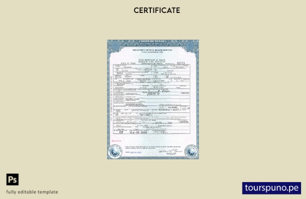 Plantilla de certificado de defunción del estado de Texas de EE. UU. lista par 1